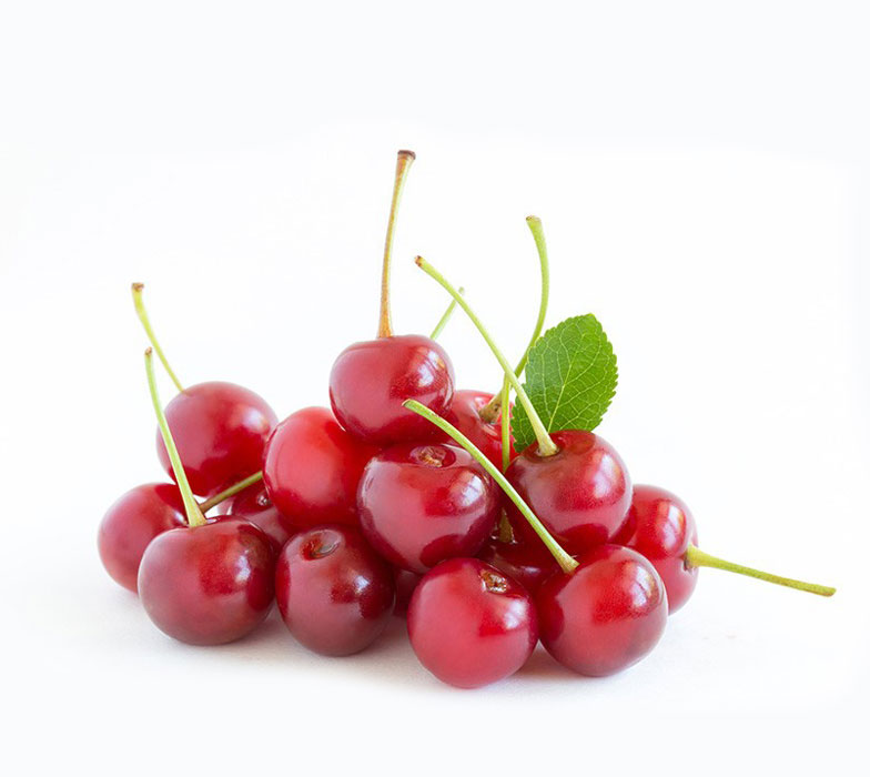 نهال آلبالو محلی 